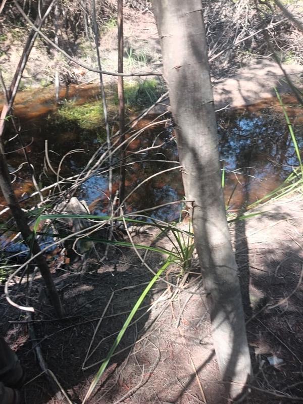 0 Bedroom Property for Sale in Albertinia Western Cape